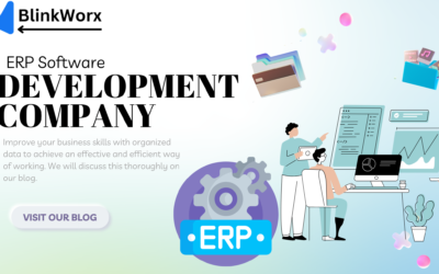 Best ERP Software Development Company in 2025