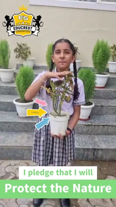 Tree plantation drive video for a school social media channel